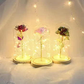 20LED Mediniais Naktį Žibintai Rose Stiklo Kupolas Varinės Vielos String Šviesos Valentino Dienos Dovana Vestuvių, Gimtadienio Apdaila